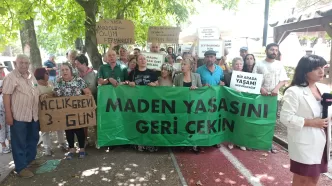 zeytinlik yasası