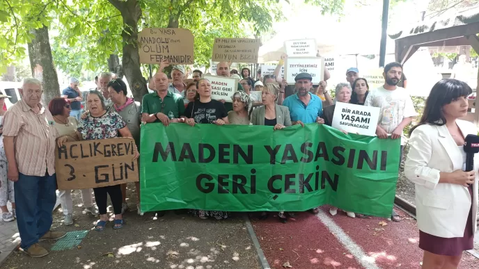 zeytinlik yasası