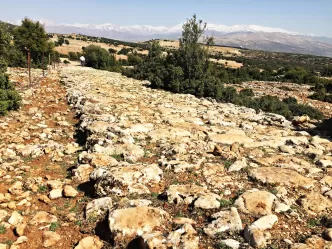 elmalının ismi nereden geliyor