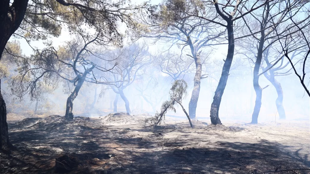 manavgat yangınları