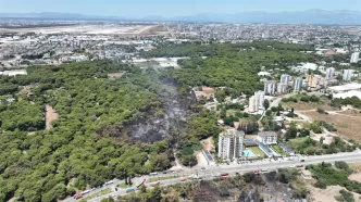 antalya orman yangını