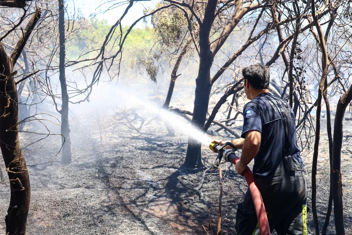antalya orman yangını