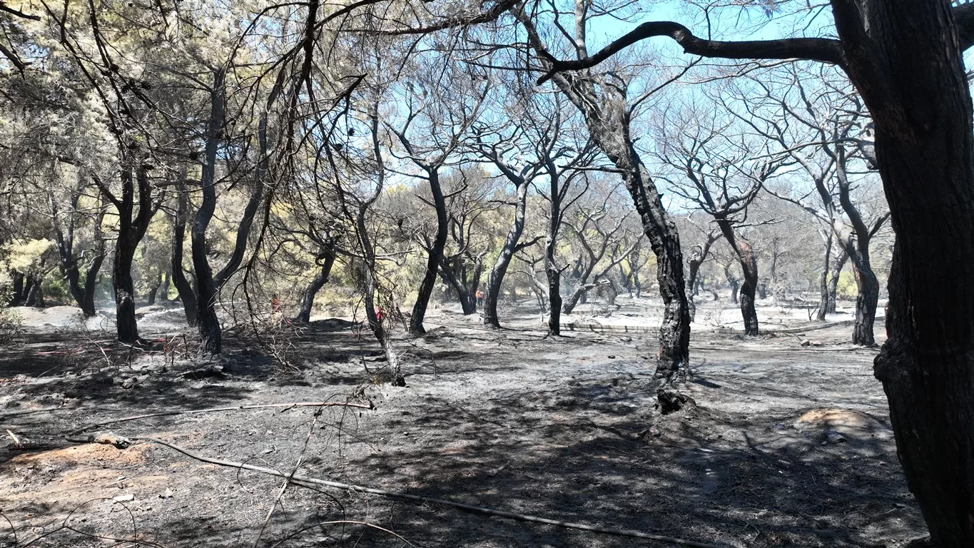 antalya orman yangını