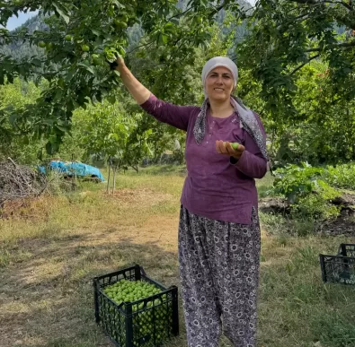 İbradı Belediye Başkanı