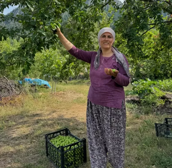 İbradı Belediye Başkanı