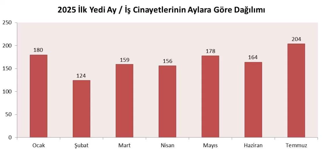 isig meclisi temmuz raporu