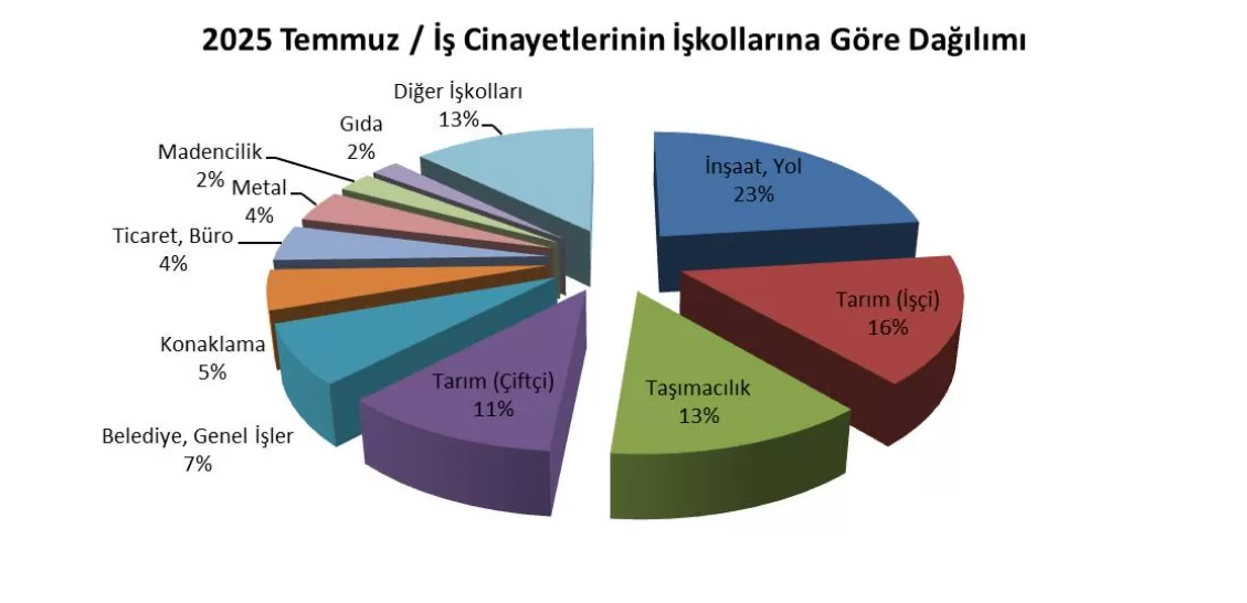 isig meclisi temmuz raporu