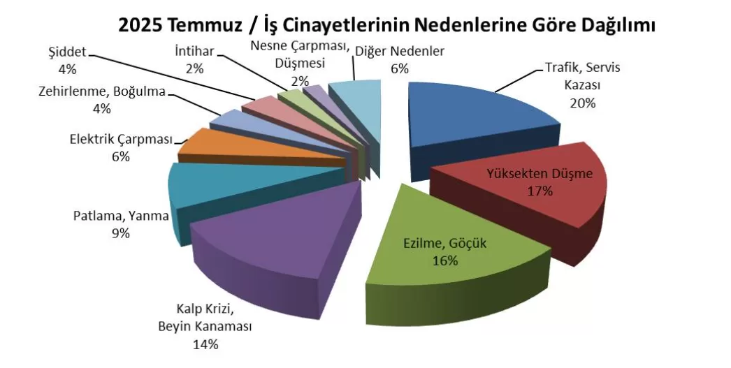 isig meclisi temmuz raporu