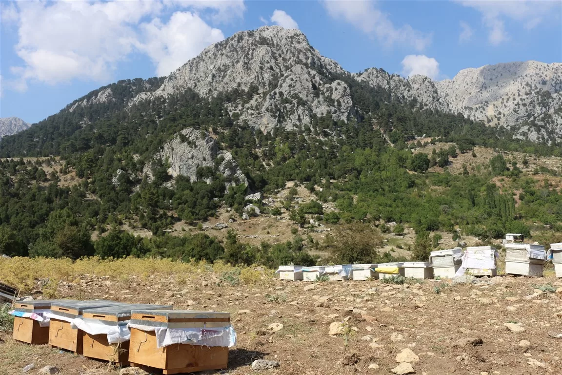 antalya büyükşehir çiftçi eğitim