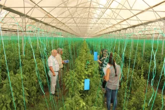 antalya büyükşehir çiftçi eğitim