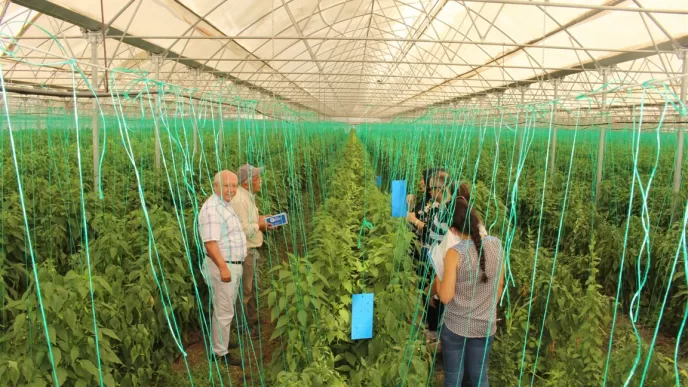 antalya büyükşehir çiftçi eğitim