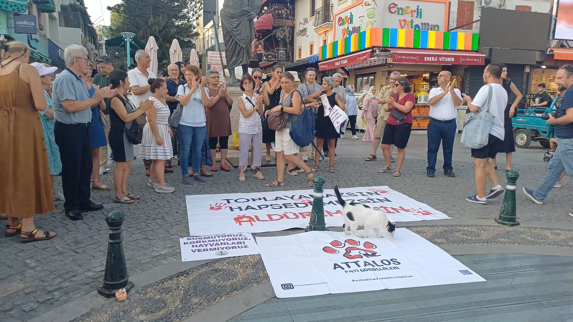 antalyada hayvan hakları eylemi