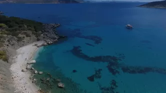gerenlik koyu ihale