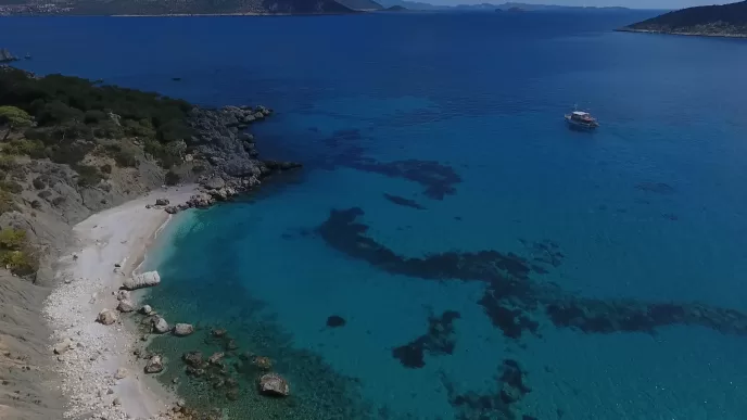 gerenlik koyu ihale