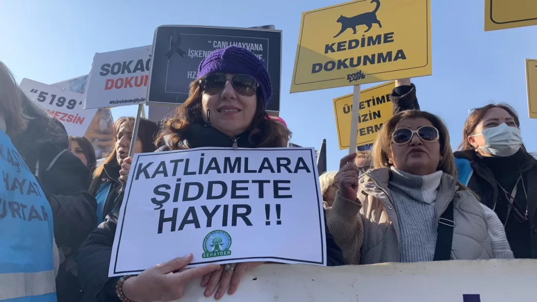 antalya yaban keçisi