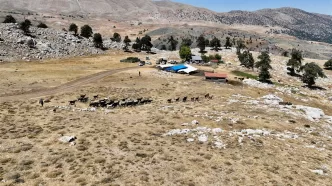 konyaaltı çoban haritası