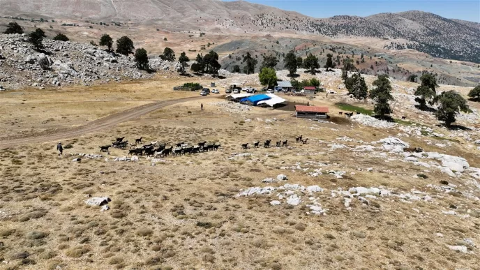 konyaaltı çoban haritası