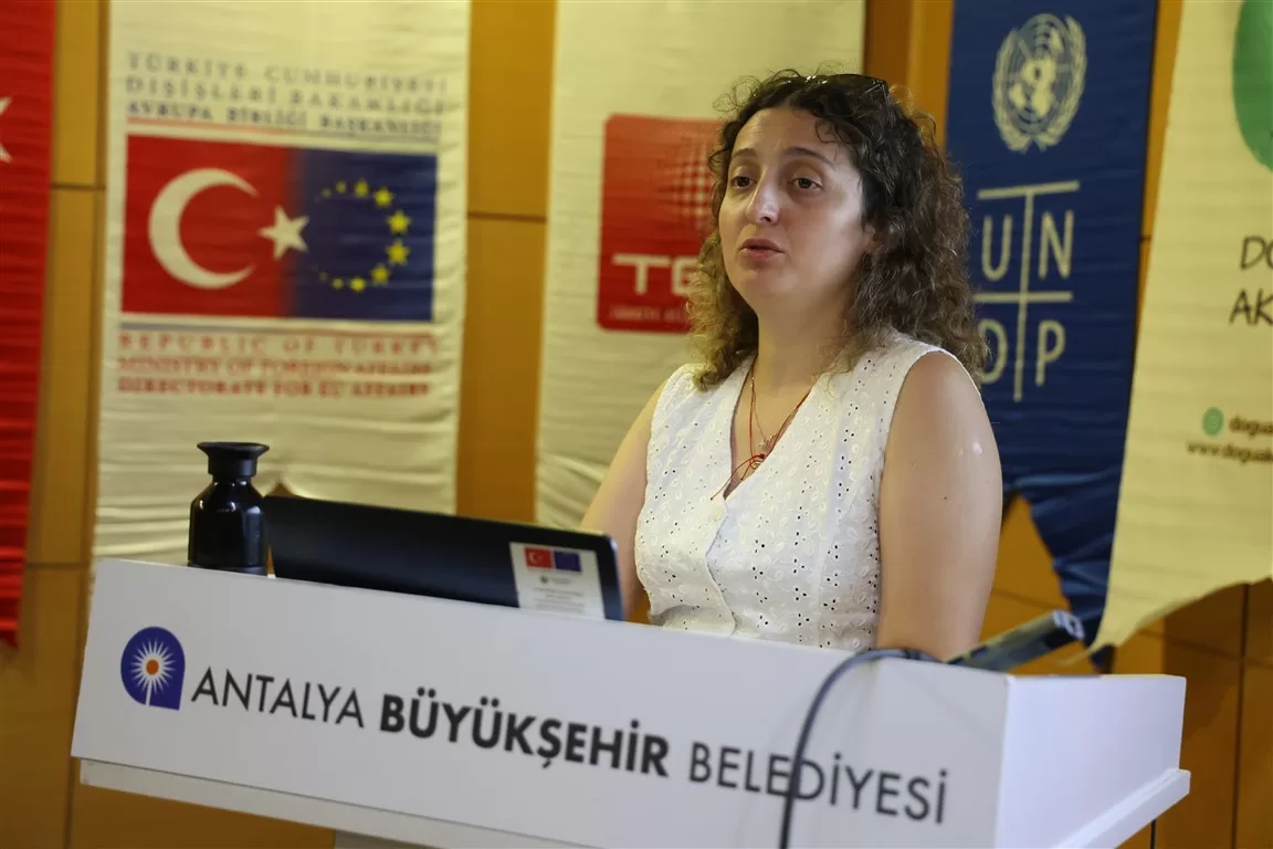 orman yangınlarının toplantısı