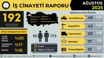 ağustos ayı iş cinayeti raporu