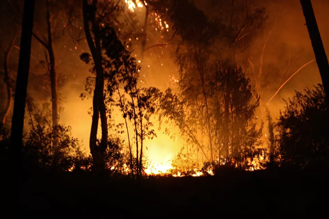 alanya orman yangını