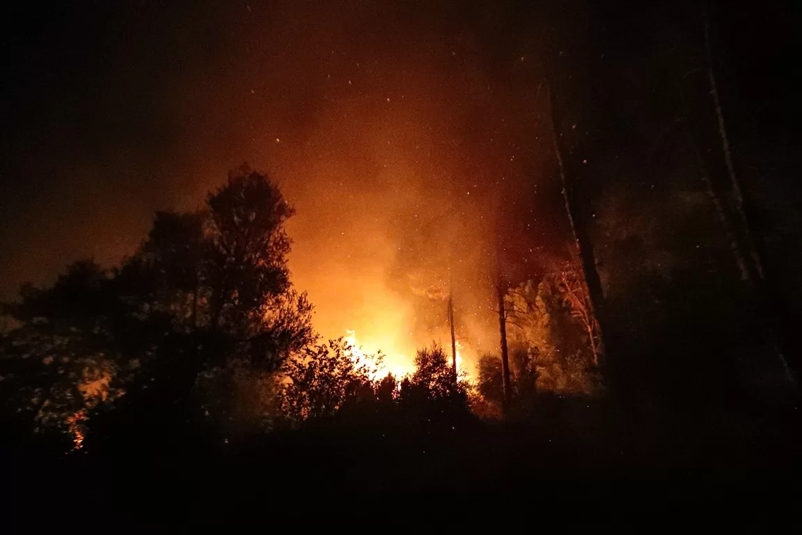 antalya orman yangını