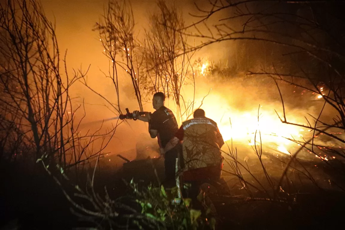 antalya orman yangını