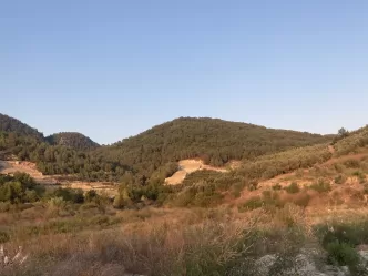 Alanya Otoyol Projesi tepki