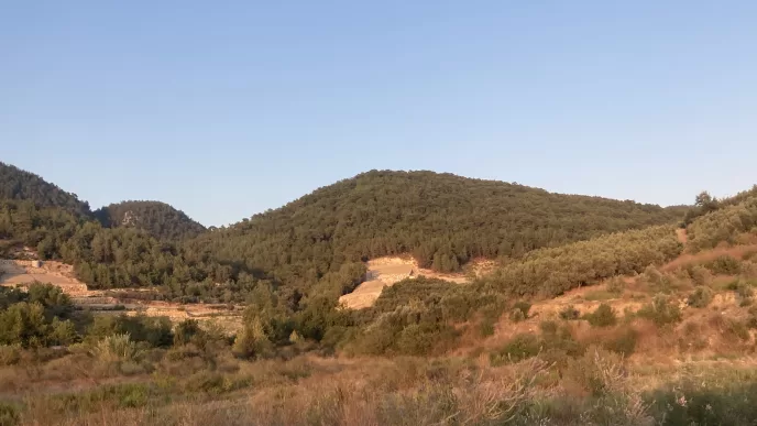 Alanya Otoyol Projesi tepki