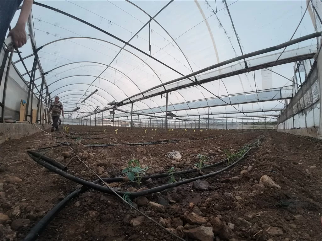 iklim krizi antalya tarımı