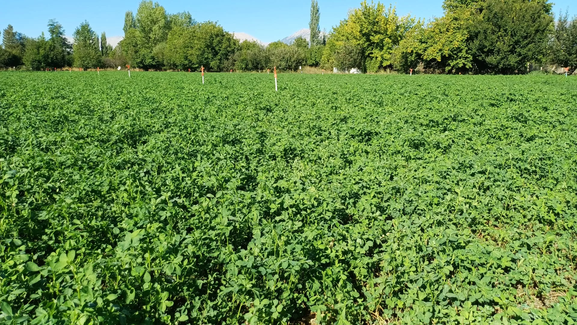 elmalı ekolojik tarım