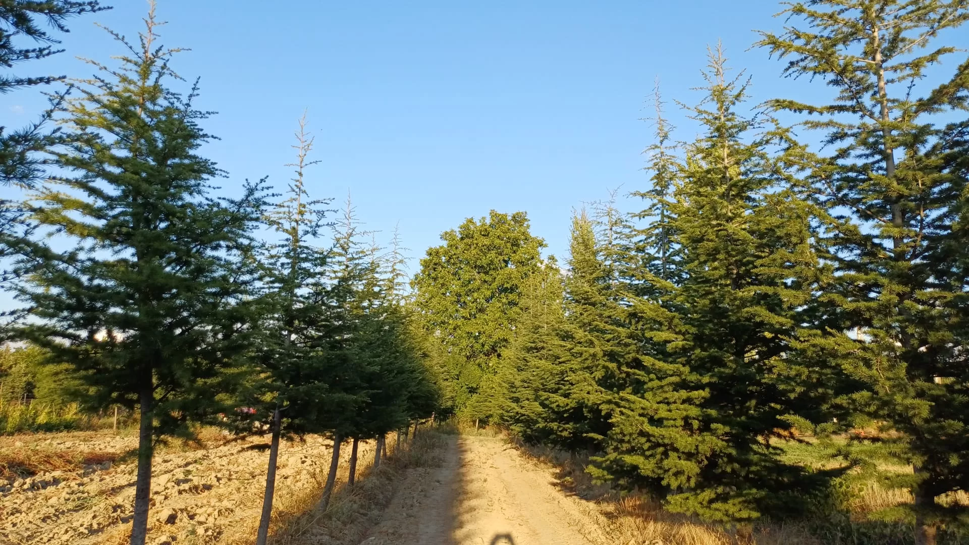 elmalı ekolojik tarım