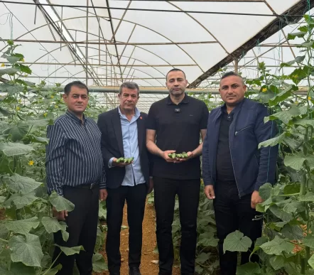 chpli aykut kaya salatalık