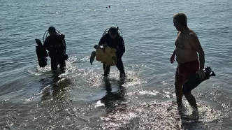 Antalya DKMP caretta caretta