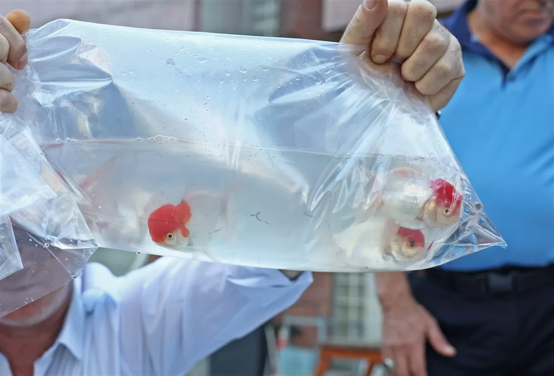 antalya otogarı operasyon