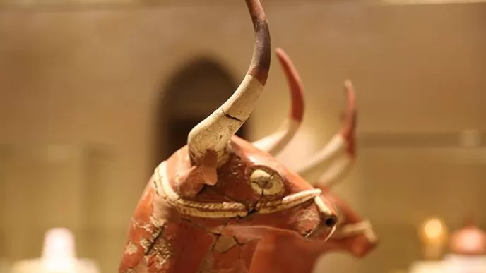 anadolu medeniyetleri müzesi ücreti