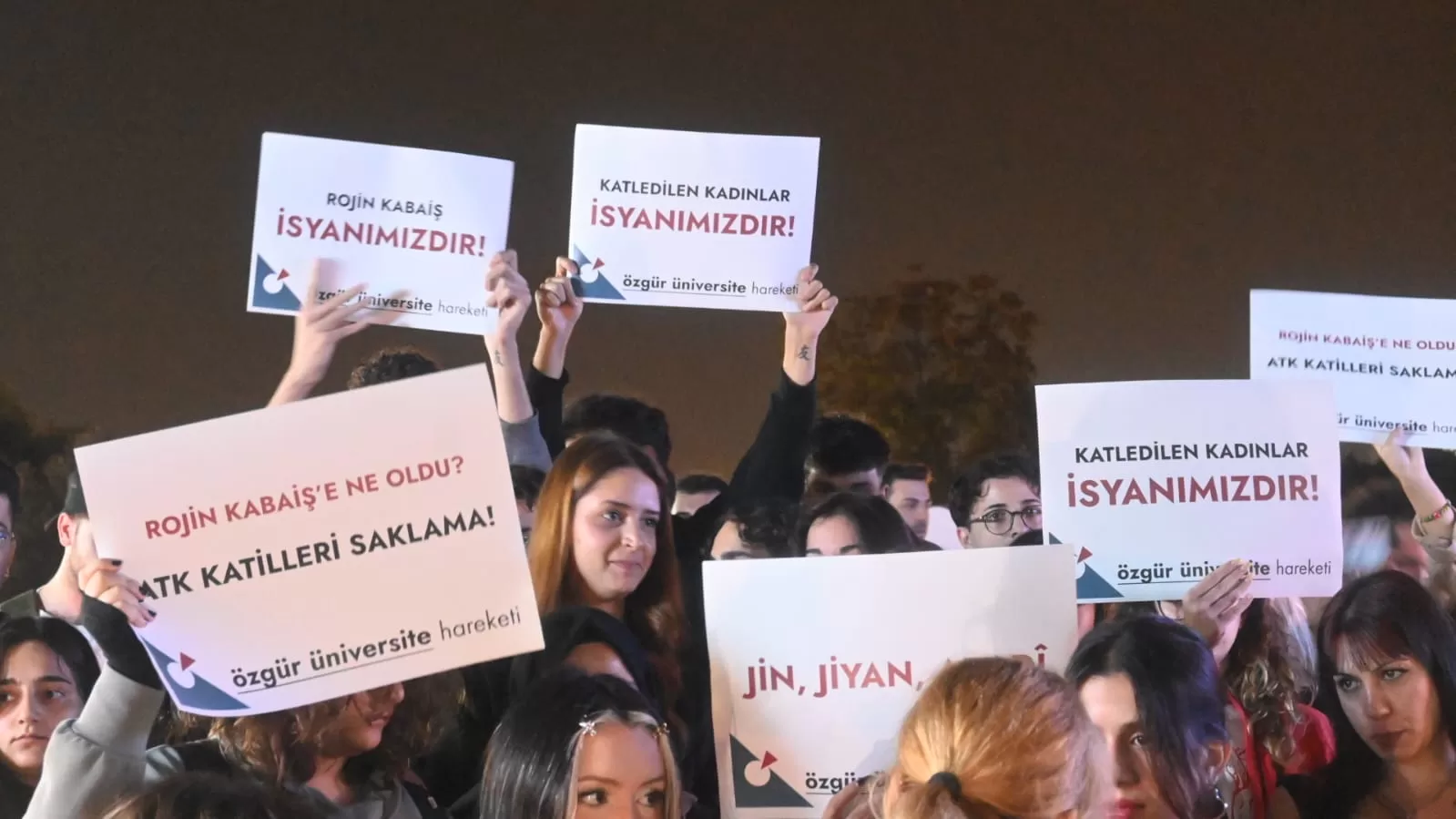 akdeniz üniversitesi rojin kabaiş