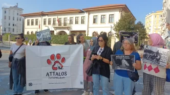 Attalos Pati Gönüllüleri eylem