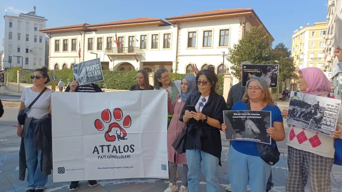 Attalos Pati Gönüllüleri eylem