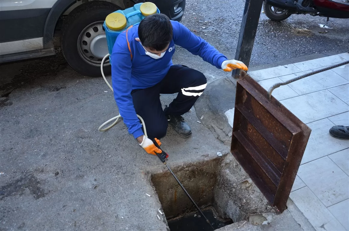 antalya vektörle mücadele