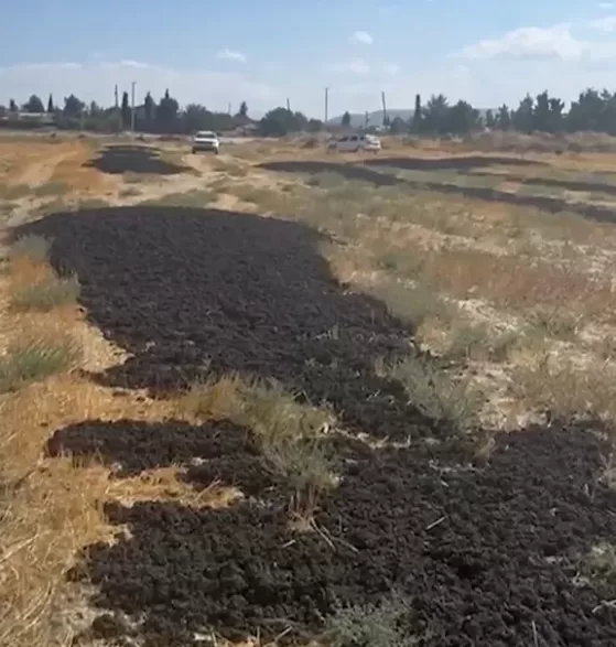 çmo antalya kaçak çamur
