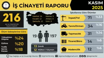 isig kasım ayı raporu