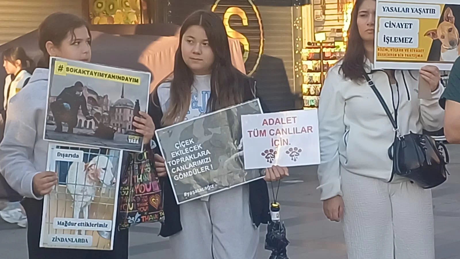 Attalos Patı Gönüllüleri açıklama
