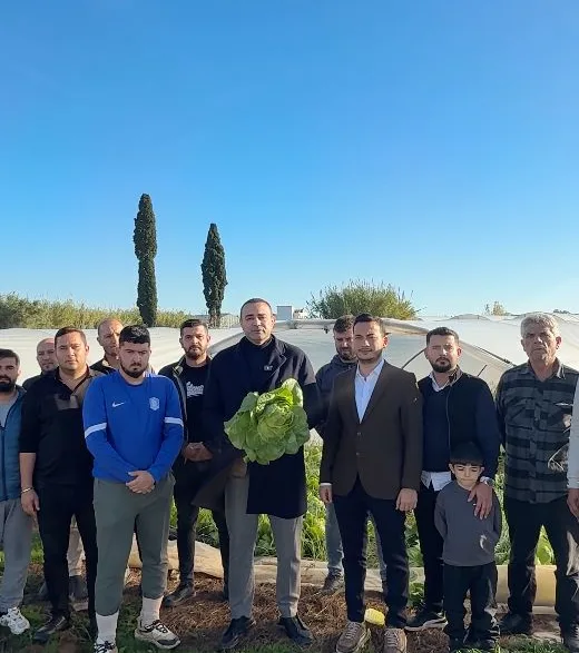 aykut kaya marul üreticisi