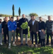 aykut kaya marul üreticisi