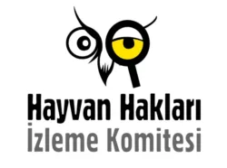 hakim kumlıca hayvan bakımevi