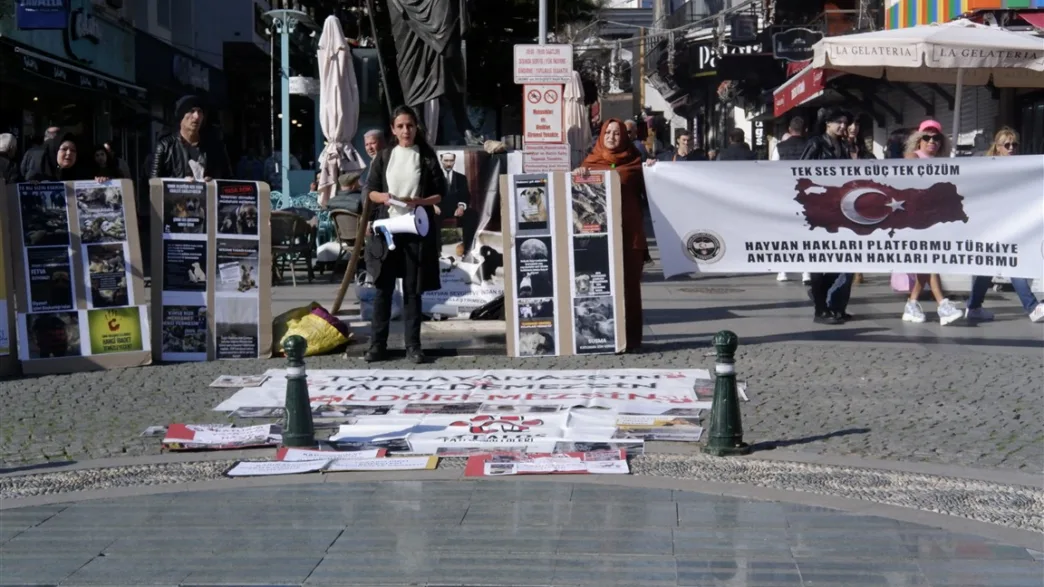 antalya sokak hayvanları eylemi