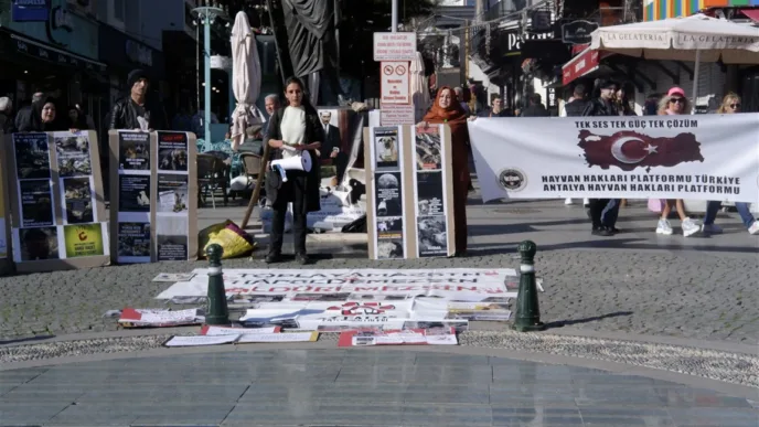 antalya sokak hayvanları eylemi