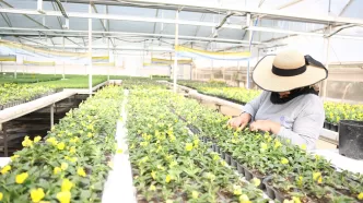 Antalya peyzaj çalışması