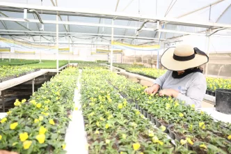 Antalya peyzaj çalışması