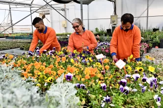 muratpaşa bitki üretim